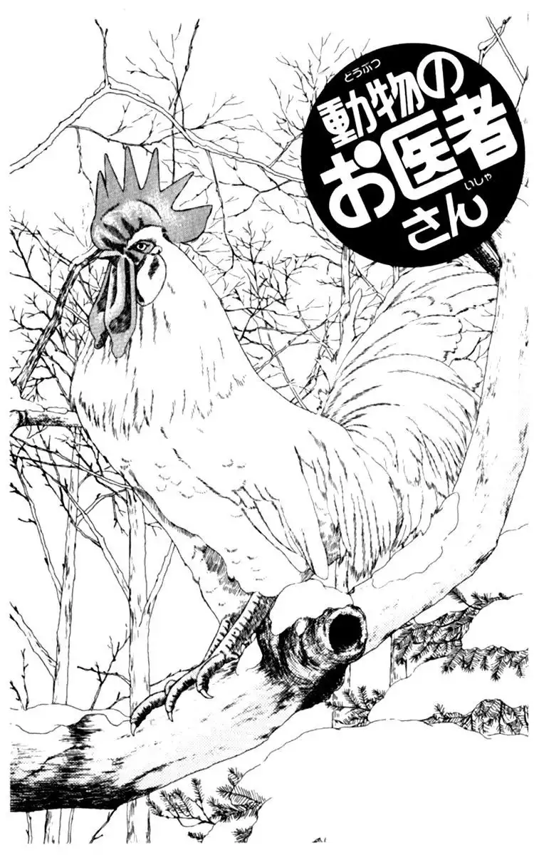 Doubutsu no Oishasan Chapter 65 3